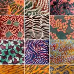 Lucia Evans - @lucia_evans_studio - Instagram