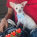 Lisa Hebert - Facebook