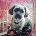 Lucia Hebert - Facebook