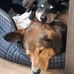 Lucia Jacobs - Facebook