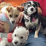 Lucia Lepe Valiente - @conejonv - Instagram