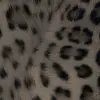 luciamedranoo__ - @luciamedranoo__ - TikTok