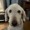 Olga Lucia Lopez Pearson - @olgalucialopezpea - TikTok
