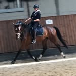 ❀Celina lucia Petersen ❀ - @_celina_dressage_ - Instagram