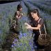 Lucia Yves Roche cosmetica vegetale - Facebook