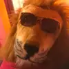 Lucia Wilson - @dollarstoremrbeast - TikTok