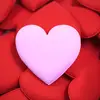 Lucia Wilson - @lucia.wilson2 - TikTok