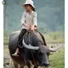 Lucia143 - @luciawu14311 - TikTok