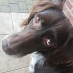 Lucia _wu - @luciawupping - Instagram