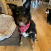 Lucie shaw - @lucianne.shaw - TikTok