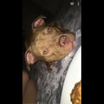 Lucie - @lucie_dunn4 - Instagram