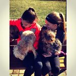 lucie long - @lucie.morkie - Instagram