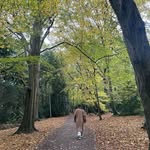 Lucie Morse - @luciemorse - Instagram