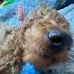 Lucie Murphy - Facebook