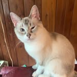 @lucieshortforlucifer - Instagram
