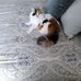 Lucie Lemay - Facebook
