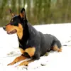 Lucie.pranlong - @lucie.pranlong - TikTok