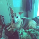 Lucille Johnson - @lucille.johnson.3511 - Instagram