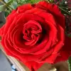 Lucile Paule Sagna - @lucile.paule.sagn - TikTok