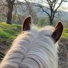 Lucie Stanley - @lucie.stanley_equestrian - TikTok