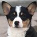 Lucile Bradshaw Taylor - Facebook