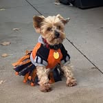 Lucille Wallace - @lucillewallace4903 - Instagram