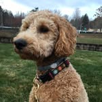 Lucille Sullivan - @lucillegoestothebeach - Instagram