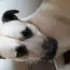 Lucille - @lucillebeckalexbeck - TikTok