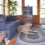 Lucille Schoenberger - @lucilleschoenberger - Instagram