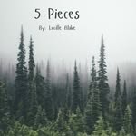 Lucille Blake - @lucy_5pieces_book - Instagram
