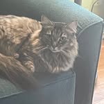 Lucille (Lucy) Buchanan - @luciferb313 - Instagram