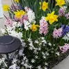 Lucille Cheney - @lucille.cheney - TikTok