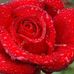 Lucille Coates - Facebook