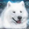 Lucille Cross - @lucille.cross5 - TikTok
