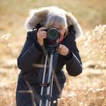 Lucille Cross Dagg - @lucillecrossdagg - Instagram