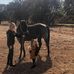 Lucille Dodson - Facebook