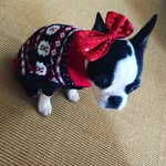 Eddie Lucille Locatelli - @queen___cuddle - Instagram