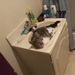 Lucille Farmer - @lucille.farmer.16 - Instagram