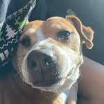 Lucille - @lucille_goodestgirl - Instagram