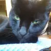 Lucille Harrell - @lucille.harrell - TikTok