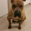 lucieheller - @lucieheller - TikTok