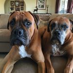 Lucille Kern - @kernlucille - Instagram