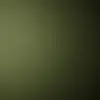 Lucille Larson373 - @lucille.larson373 - TikTok