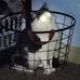 Lucille Lowe - Facebook