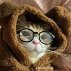 Lance Lucilla - Facebook