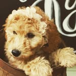 Lucille Lyons - @lucy_lu_lyons - Instagram