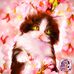 Lucille Mann - Facebook