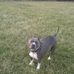 Lucille McGee - Facebook
