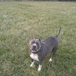Lucille McGee - @lucille.mcgee - Instagram