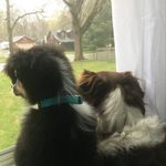 Lucille McGee & Ophelia Pearl - @lucyandophie - Instagram